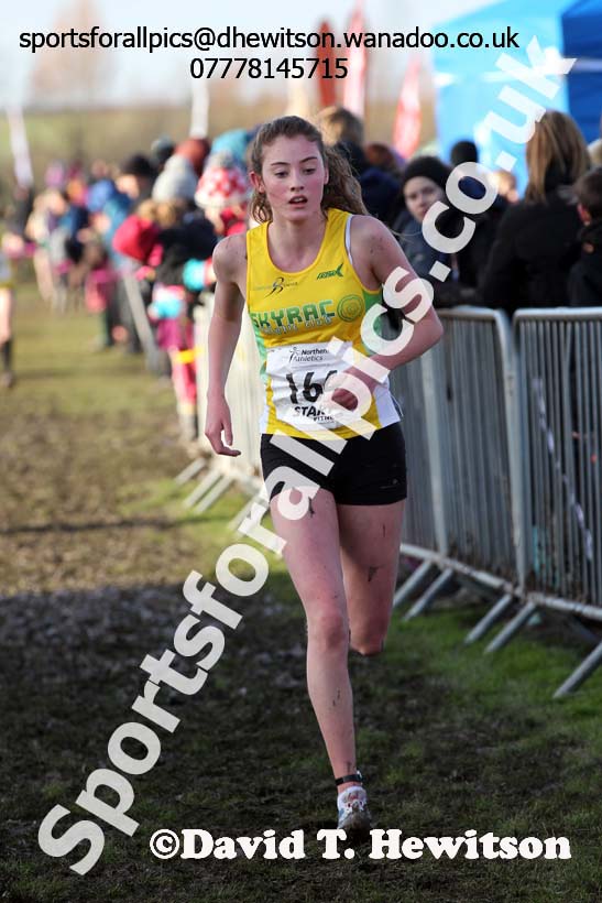 Girls under-15s Northern Cross Country  Championships, Pontefract. Photo: David T. Hewitson/Sports for All Pics